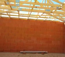 1er jour de travail concernant la charpente... il y a encore &agrave; faire  mais en une journ&eacute;e, &ccedil;a a tout de m&ecirc;me avanc&eacute; consid&eacute;rablement.