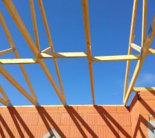 1er jour de travail concernant la charpente... il y a encore &agrave; faire  mais en une journ&eacute;e, &ccedil;a a tout de m&ecirc;me avanc&eacute; consid&eacute;rablement.