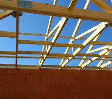 1er jour de travail concernant la charpente... il y a encore &agrave; faire  mais en une journ&eacute;e, &ccedil;a a tout de m&ecirc;me avanc&eacute; consid&eacute;rablement.