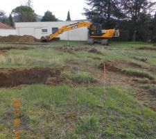 Sa y est de grosses taupes jaunes font leur trous