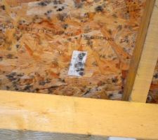 Traces de moisissures