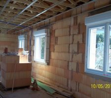 Fen&ecirc;tres avec volets roulants int&eacute;gr&eacute;s