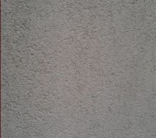 Photo du grain du crépis de très près