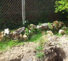 Pierre sur le terrain