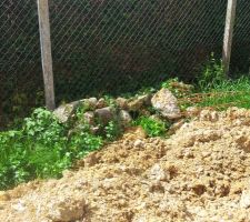 Pierre sur le terrain