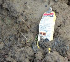 Sympa ce qu'on retrouve dans le jardin ...