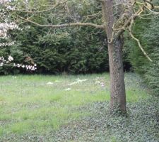 Gros plan sur la future all&eacute;e de garage qui traversera cette photo