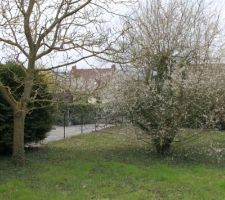 Autre vue du terrain