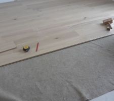 D&eacute;but du parquet