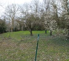 Vue de face du futur jardin