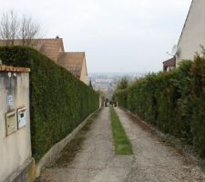 Allée privée qui dessert de le terrain