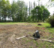 Terrain avec les arbres en moins