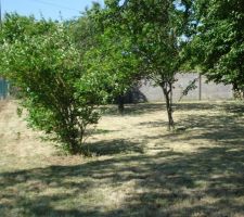 Un terrain de 1 297 m2 séparé en 2 par un mur