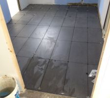 Carrelage salle de bain