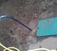 Arriv&eacute;e du col de cygne !!!