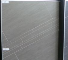 Carrelage sol entr&eacute;e, salon, s-a-m, cuisine, couloir, wc