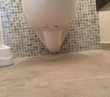 WC RDC trop bas &agrave; notre go&ucirc;t