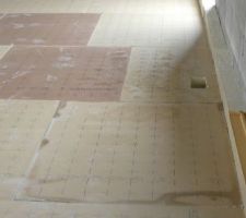 Carottage effectu&eacute;...