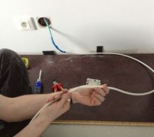 Les c&acirc;bles sectionn&eacute;s