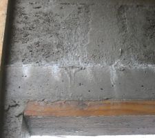 D&eacute;tail sur "moisissure" 2