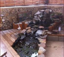 La fontaine gelée