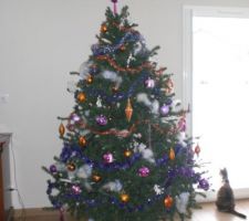Sapin Noel 2009 et minette qui observe la neige