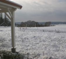 20122009 la neige couvre le jardin