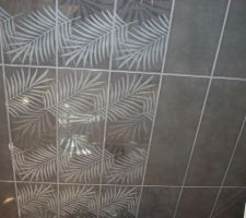 Choix de la Faïence mais reste a déterminer la couleur.