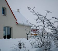 20 cm de neige