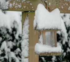 20 cm de neige