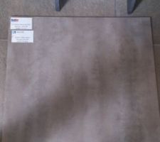 Voici le choix pour notre carrelage normalement, il s'agit d'un gris en 60X60, pleine masse