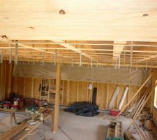 Une forêt de suspentes