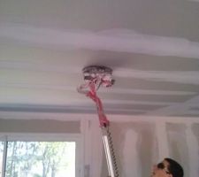 La giraffle et son dompteur jordan