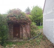 Cave d&eacute;broussaill&eacute;e de face