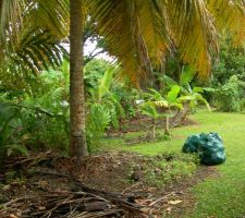 Vue du terrain brut !