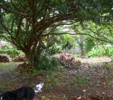 Vue du terrain brut !