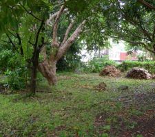 Vue du terrain brut !