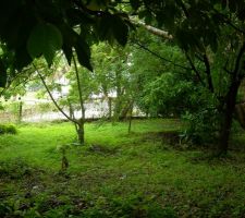 Vue du terrain brut !