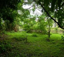 Vue du terrain brut !