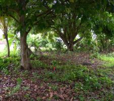 Vue du terrain brut !