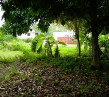 Vue du terrain brut !