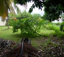 Vue du terrain brut !
