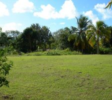 Le terrain vu de loin