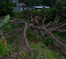 Ben, finalement, c'&eacute;tait pas si compliqu&eacute; !