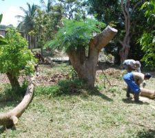 1er "koudmen" de nettoyage