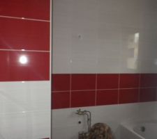 Fa&iuml;ence de la sdb