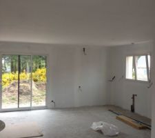 Impression murs et plafonds