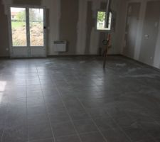 Carrelage salon couleur taupe