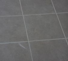 Le m&ecirc;me vue de pret