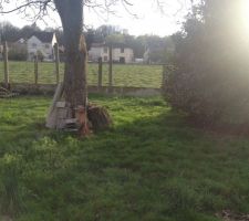 Arri&egrave;re Terrain (futur jardin et garage)